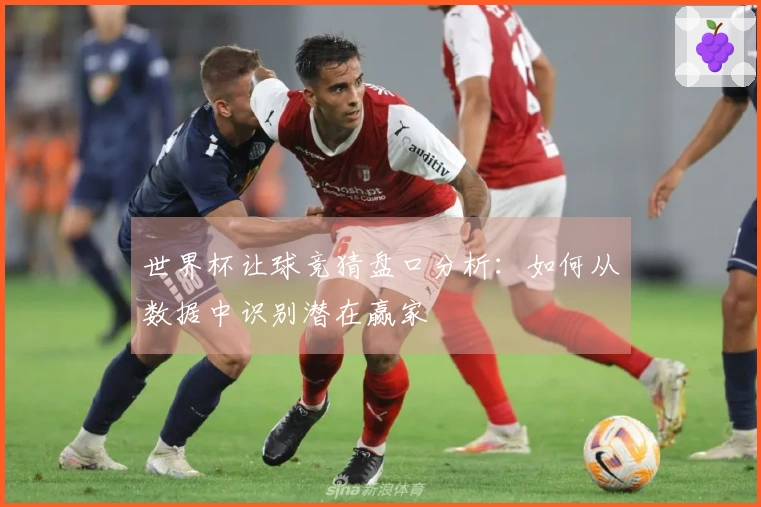 世界杯让球竞猜盘口分析：如何从数据中识别潜在赢家