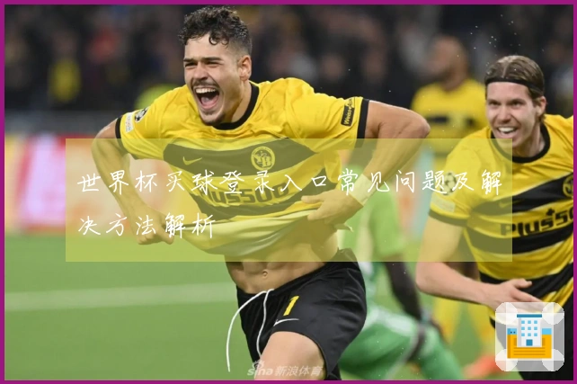 世界杯买球登录入口常见问题及解决方法解析