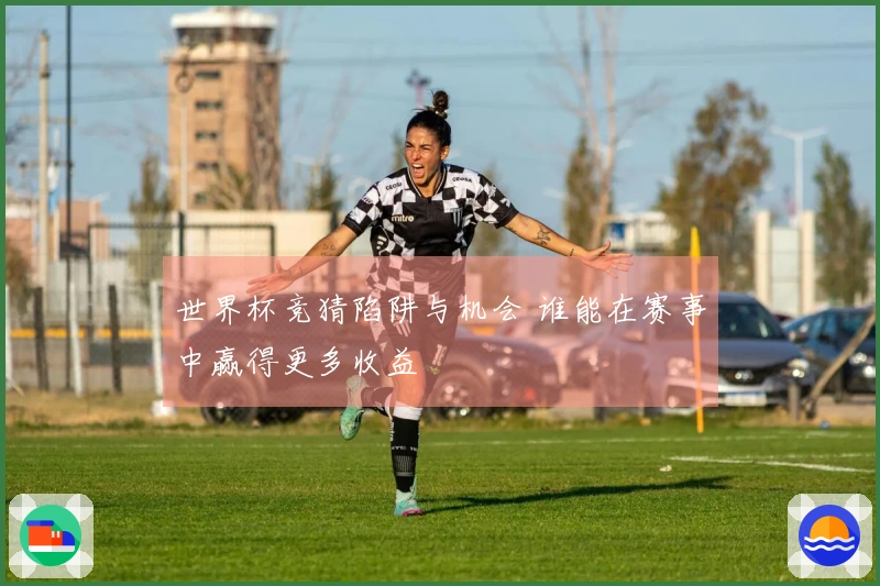 世界杯竞猜陷阱与机会 谁能在赛事中赢得更多收益