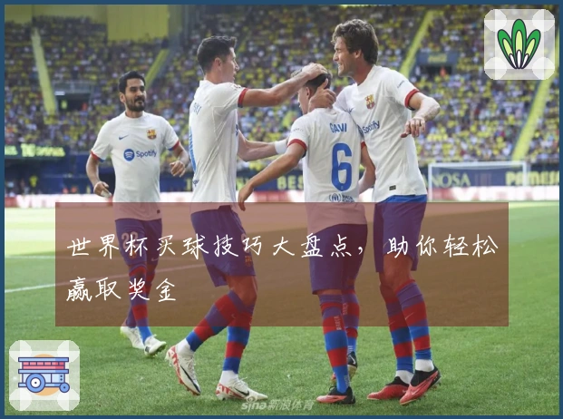 世界杯买球技巧大盘点,助你轻松赢取奖金