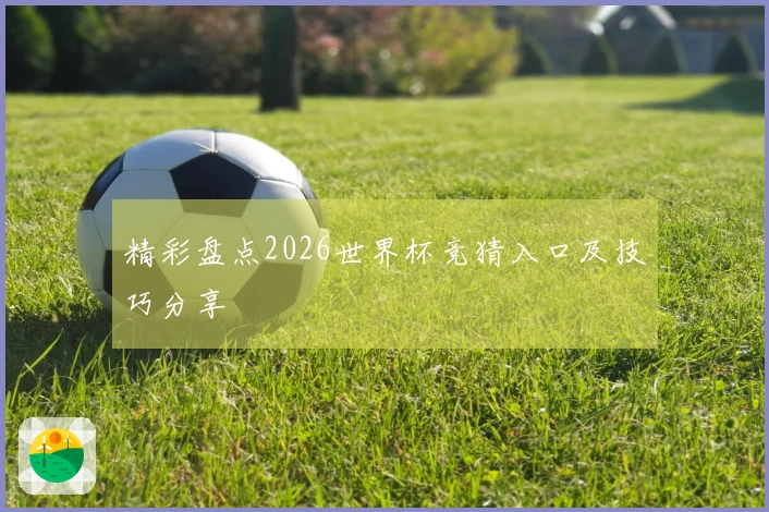 精彩盘点2026世界杯竞猜入口及技巧分享