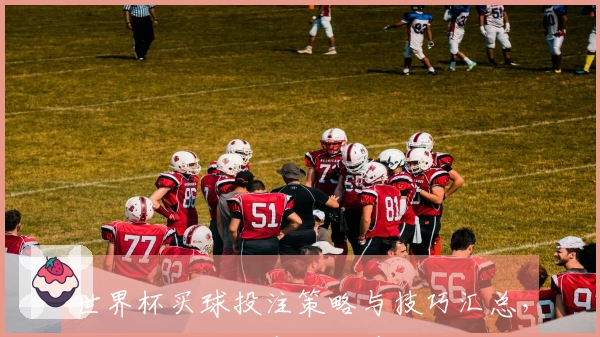 世界杯买球投注策略与技巧汇总，助你轻松驾驭赛场激情