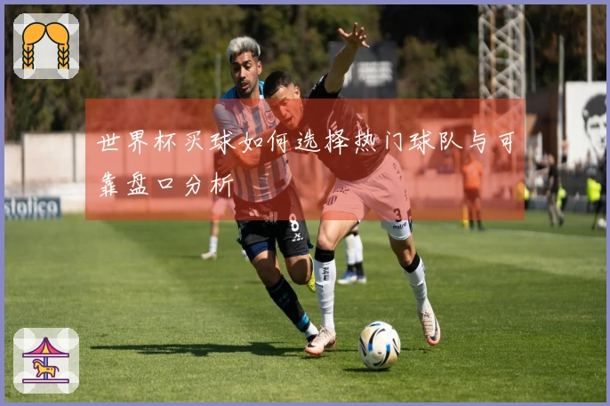 世界杯买球如何选择热门球队与可靠盘口分析