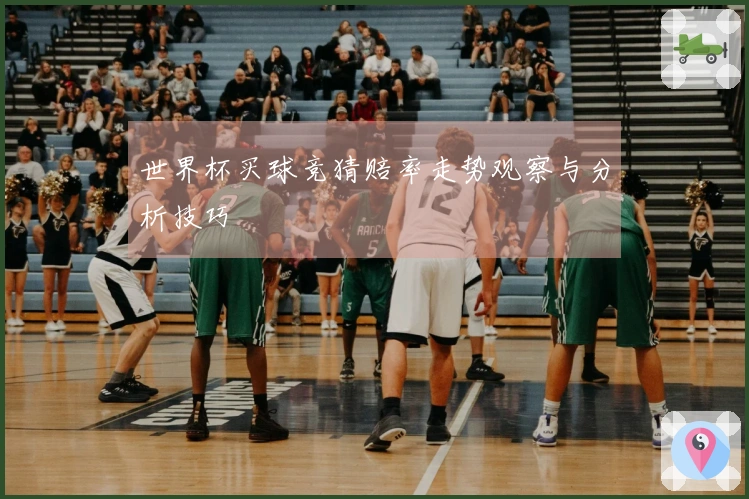世界杯买球竞猜赔率走势观察与分析技巧