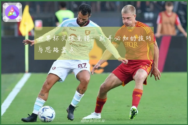 世界杯买球竞猜：新手必知的技巧与思路盘点