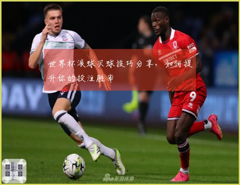 世界杯滚球买球技巧分享，如何提升你的投注胜率