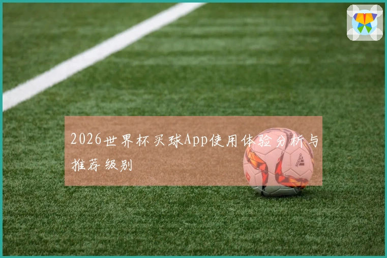 2026世界杯买球App使用体验分析与推荐级别