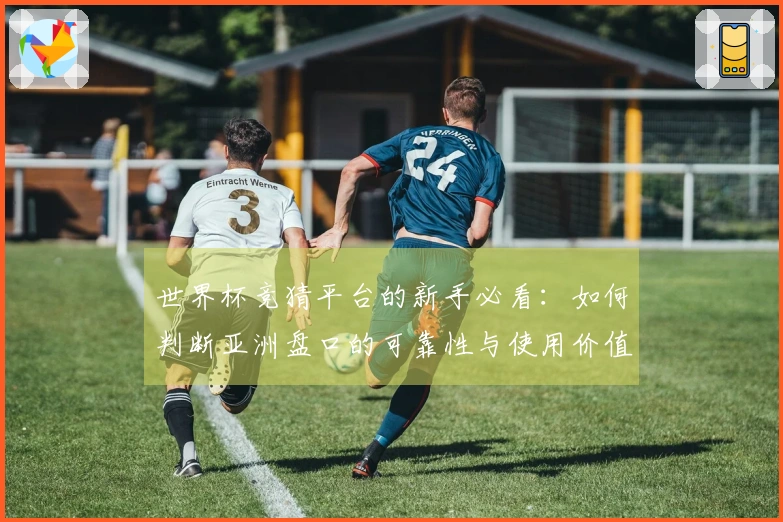 世界杯竞猜平台的新手必看：如何判断亚洲盘口的可靠性与使用价值