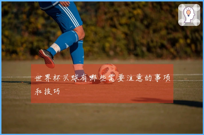 世界杯买球有哪些需要注意的事项和技巧