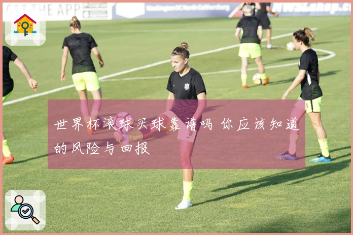 世界杯滚球买球靠谱吗 你应该知道的风险与回报