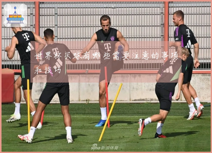 世界杯买球有哪些需要注意的事项和技巧