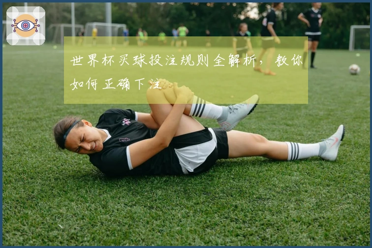 世界杯买球投注规则全解析，教你如何正确下注