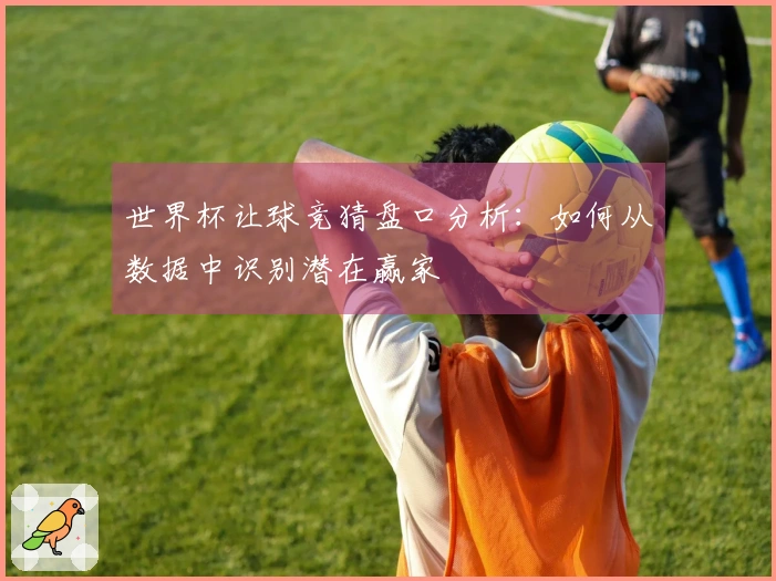 世界杯让球竞猜盘口分析：如何从数据中识别潜在赢家