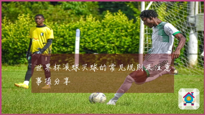 世界杯滚球买球的常见规则及注意事项分享