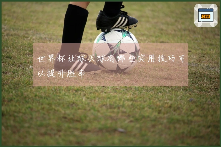 世界杯让球买球有哪些实用技巧可以提升胜率